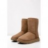 UGG CLASSIC SHORT II Botines chestnut