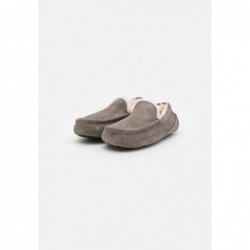 UGG ASCOT Pantuflas Gris