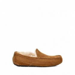 PANTUFLAS HOMBRE ASCOT Castañas