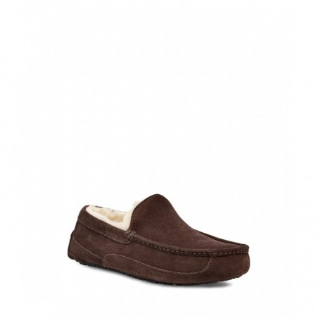 PANTUFLAS HOMBRE ASCOT ESPRESSO