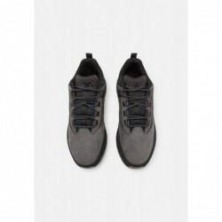 Timberland TREKKER Zapatillas gray