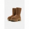 UGG CLASSIC SHORT NEW HEIGHTS Botines con plataforma chestnut